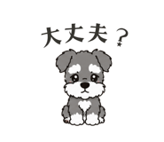 861205098