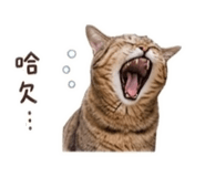 861217115