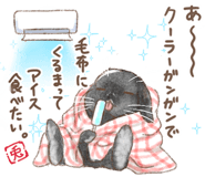 861224021