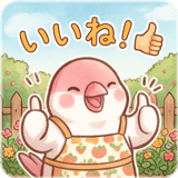 861227716