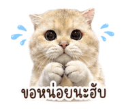 861228570