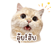 861228572