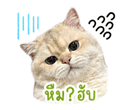 861228575