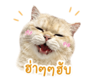 861228576