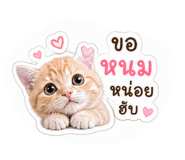 861230905
