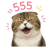 861247242