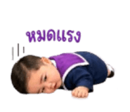 861250446