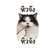 861250647