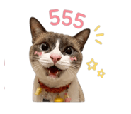 861250666
