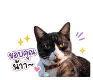 861259112