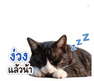 861259115
