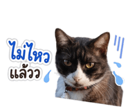 861259119