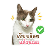 861259396