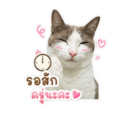861259399