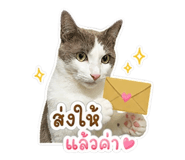 861259400
