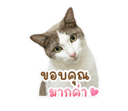 861259402