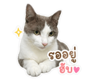 861259406