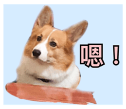 86139339