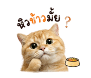 861418396