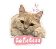 861420328