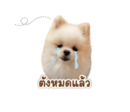 861420591