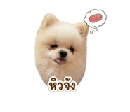 861420592