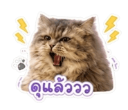 861429300
