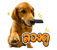 861429358