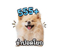 861429464