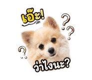 861429472