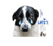 861435303
