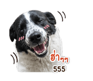861435305