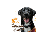 861435314