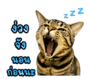 861438755