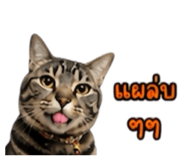 861438765