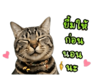 861438772