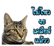 861438775