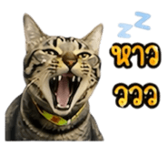 861438776