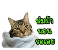 861438778