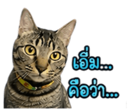 861438780
