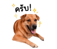 861441980