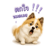 861444358