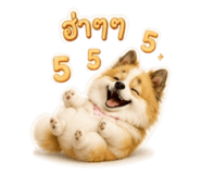 861444359