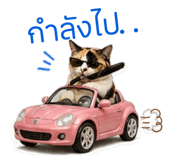 861447128