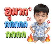 861447536