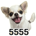 861447698
