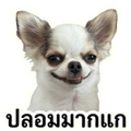 861447705