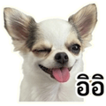 861447706
