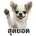 861447709