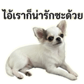 861447713